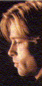 Bradpitt.gif (8172 bytes)